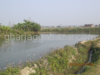 Land on Sale at Surdi Kathar